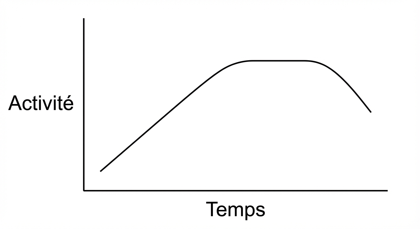 Schéma simple : une courbe en cloche sur un graphique en 2D. L'axe horizontal est le 'Temps', l'axe vertical est la 'Taille/Activité'. La courbe monte (Création/Croissance), atteint un plateau (Maturité), puis redescend (Déclin/Disparition). Fond blanc, traits noirs nets, style scolaire.