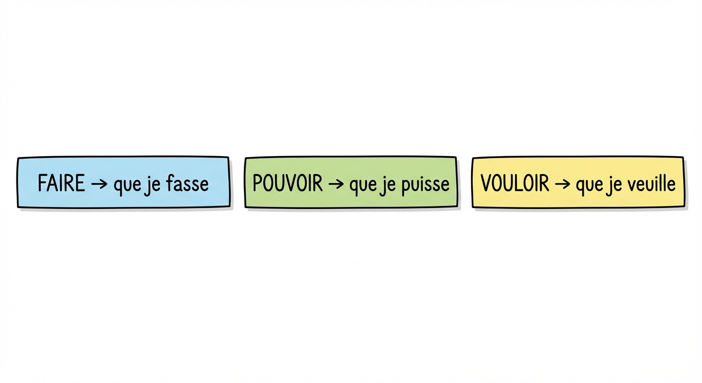 Trois étiquettes colorées horizontales. 1: 'FAIRE -> que je fasse'. 2: 'POUVOIR -> que je puisse'. 3: 'VOULOIR -> que je veuille'. Design clair et scolaire.