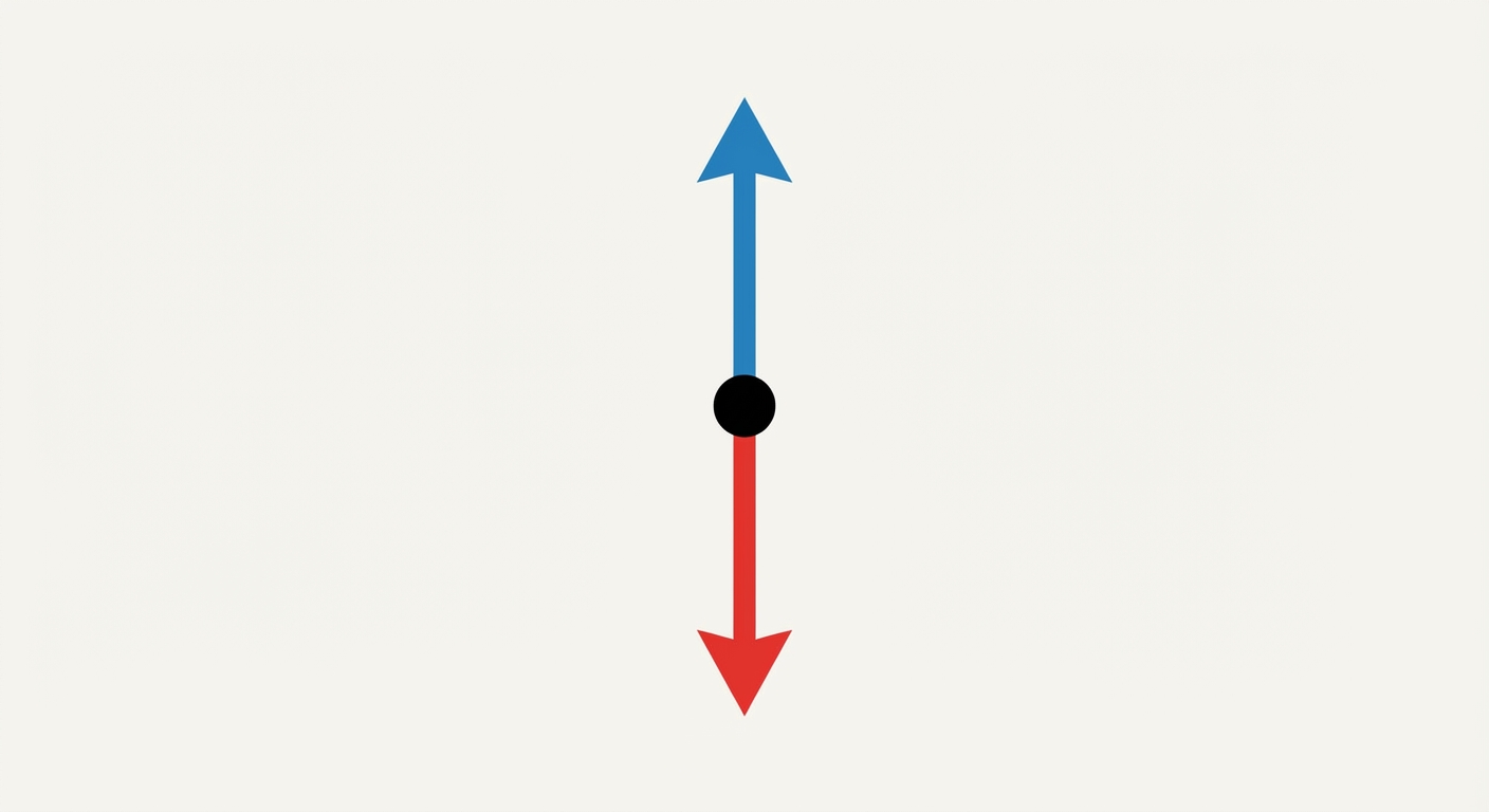 Schéma épuré : un point noir représentant le parachutiste. Une flèche rouge verticale vers le bas (Poids). Une flèche bleue verticale vers le haut (Frottements). Les deux flèches partent du point et ont strictement la même longueur.
