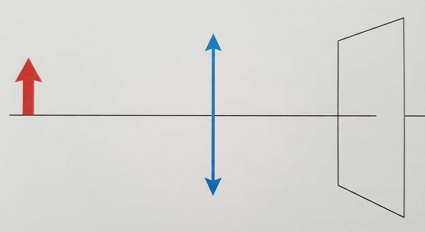 Schéma 2D simplifié d'un banc optique vu de côté sur fond blanc. À gauche, un objet lumineux en forme de flèche rouge pointant vers le haut. Au centre, une lentille convergente représentée par une double flèche verticale bleue. À droite, un écran blanc vertical. Un axe optique horizontal traverse le tout.