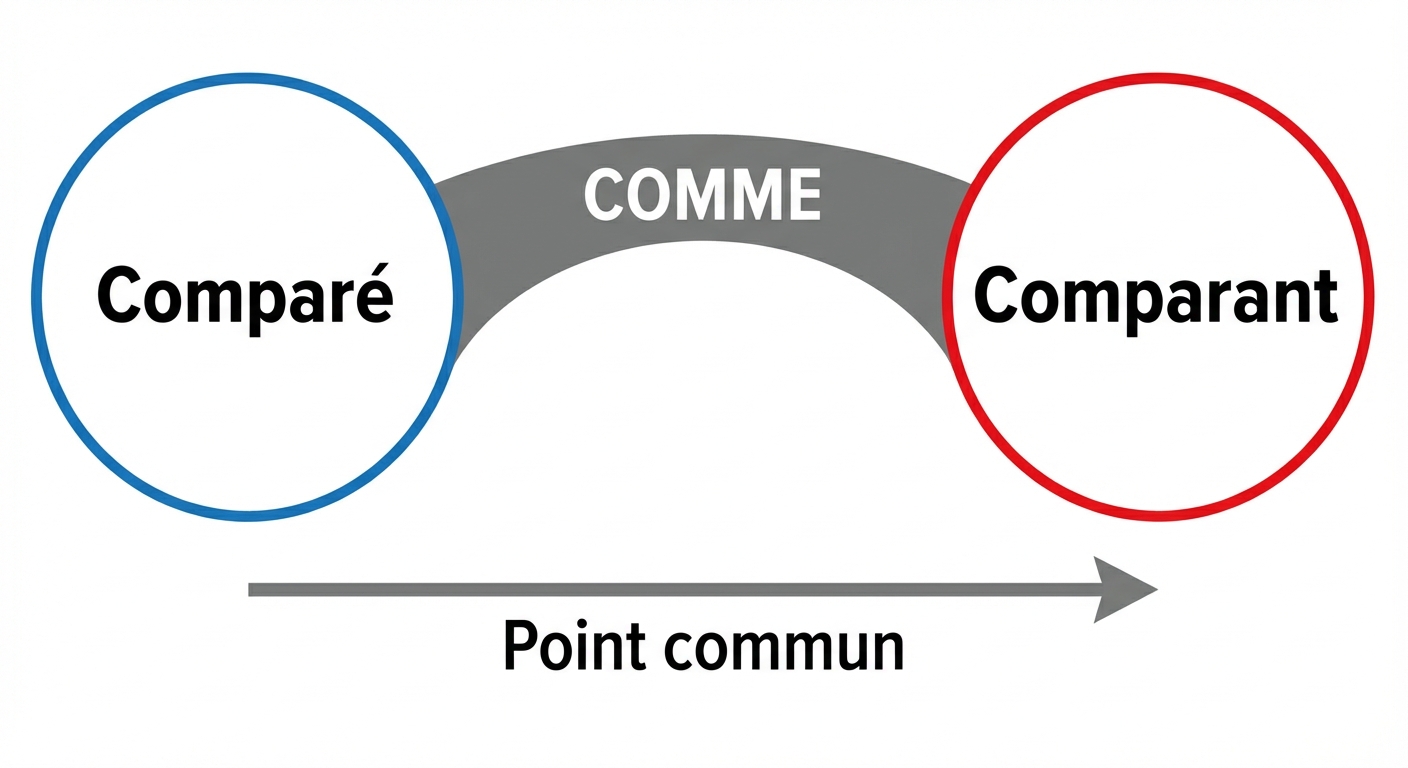 Schéma simple sur fond blanc. À gauche, un cercle bleu étiqueté 'Comparé'. À droite, un cercle rouge étiqueté 'Comparant'. Les deux sont reliés par un pont gris solide sur lequel est écrit le mot 'COMME'. Une flèche en dessous indique 'Point commun'.