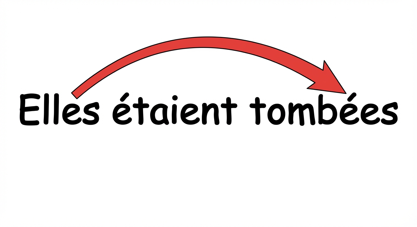 Texte écrit en gros caractères au centre : 'Elles étaient tombées'. Une flèche rouge part du mot 'Elles' et pointe vers la terminaison 'ées' du mot 'tombées' pour montrer le lien d'accord.